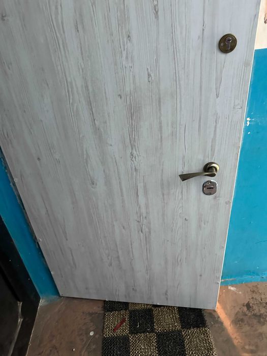 Двери входные металлические