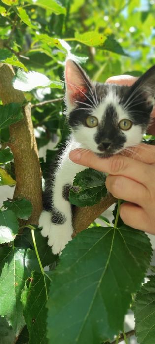 Терміново шукаю дім.