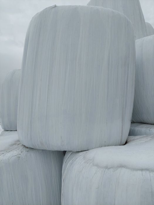 Sianokiszonka z koniczyny