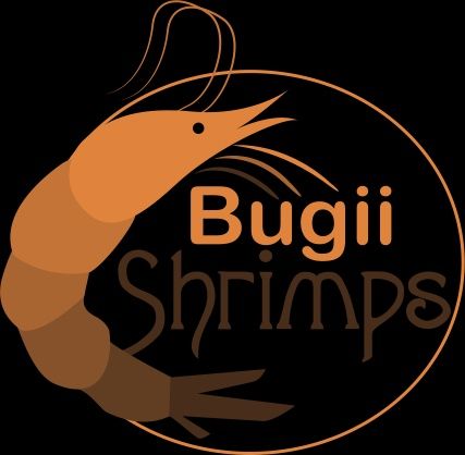 Krewetka Krewetki GALAXY ze stada BOA