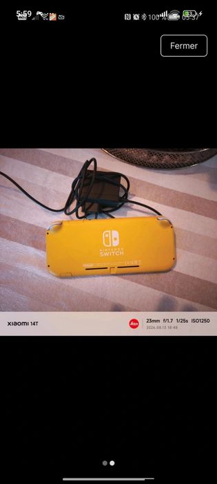 Nintendo switch lite