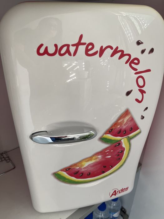 Mini frigorifico Ardes