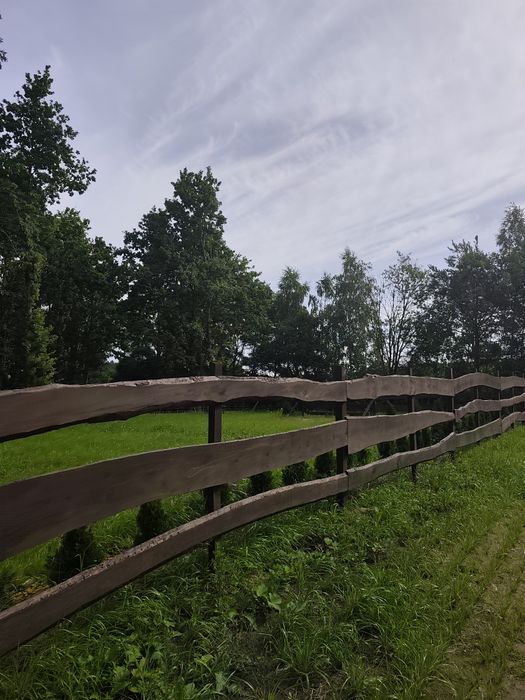 Działka, zagajnik na Mazurach