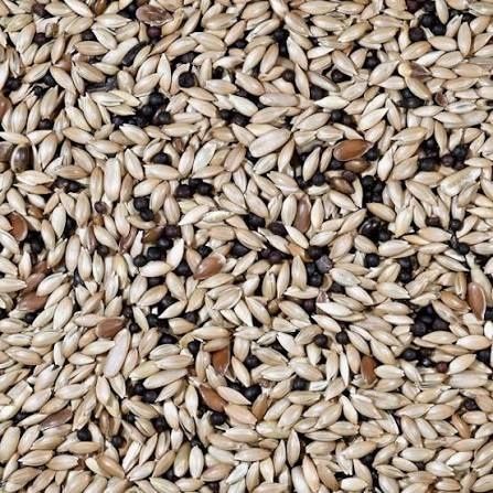 Mistura e sementes para aves