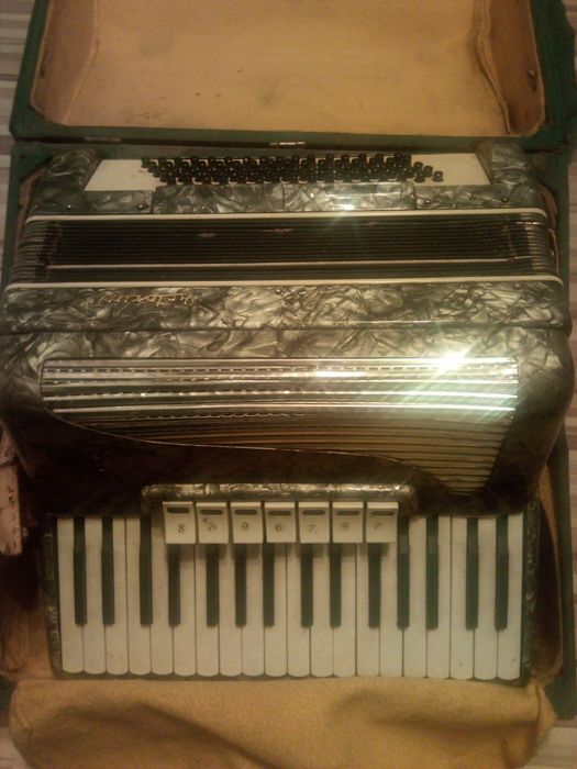 Akordeon Victoria II