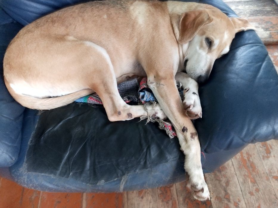 Пропала Гончак 04.01.2026.