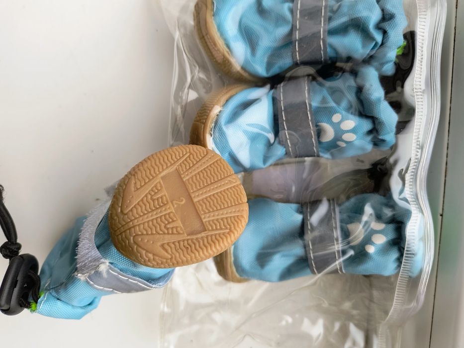 Обувь для собачки