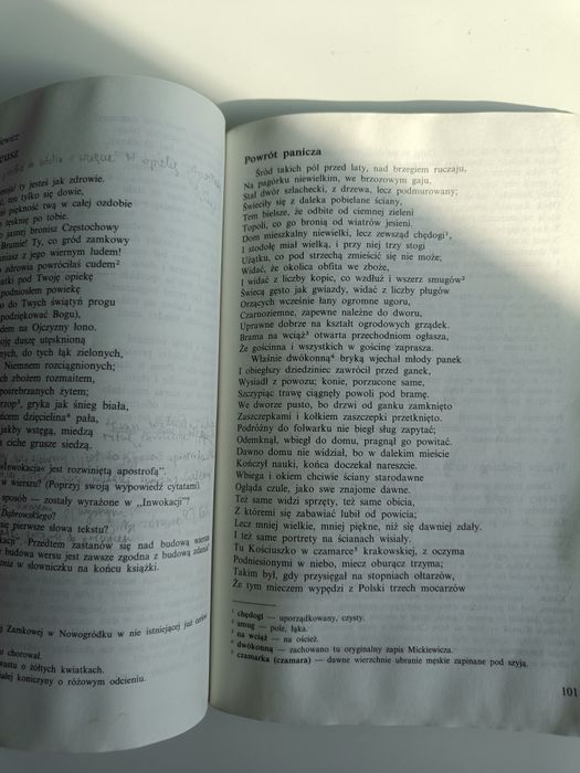 Język polski 7 w ojczyźnie polszczyźnie 1994