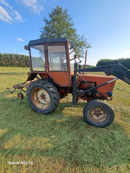 Wladymirec Władymirec T25