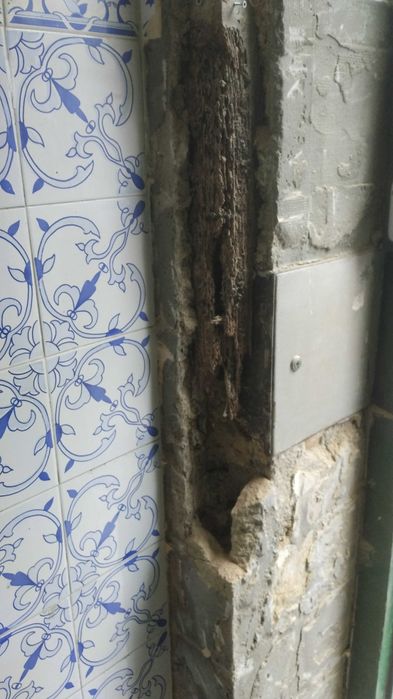 Faço pequenos de pinturas,  limpezas de espaços