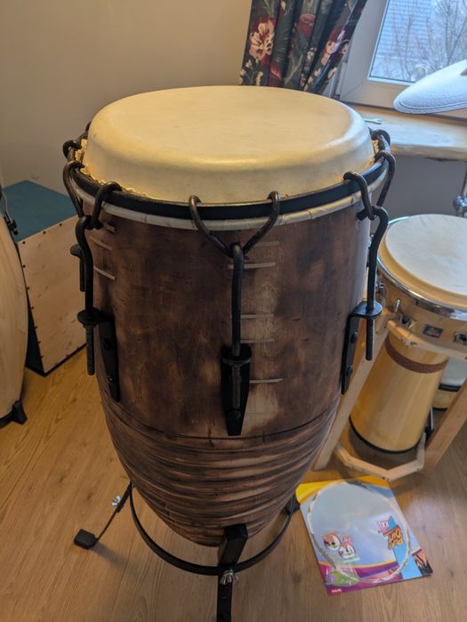 Conga 13 "x 65 cm wys.