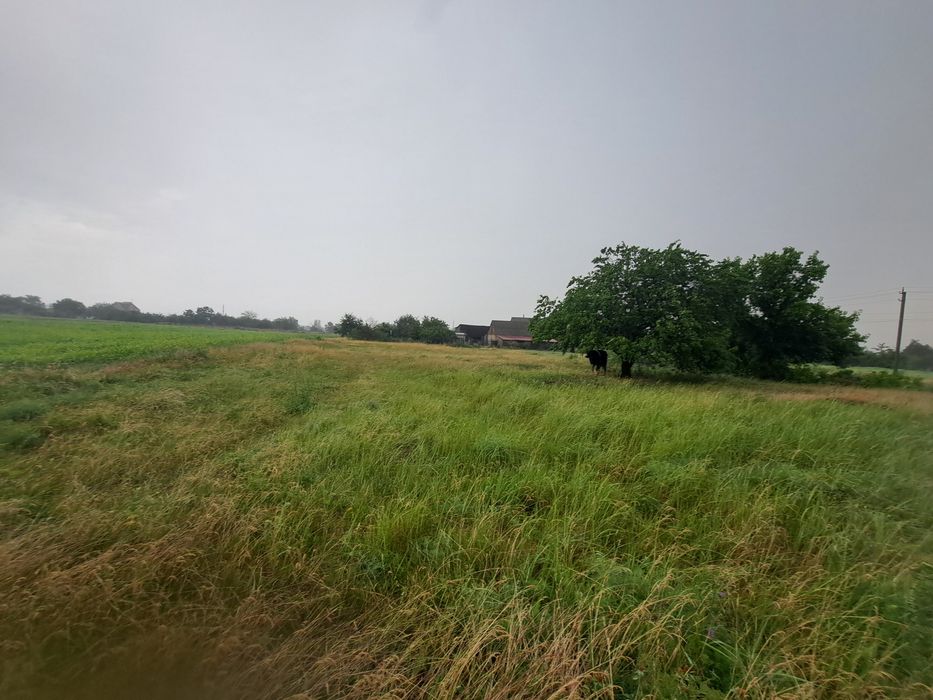 Земельна ділянка с. Військове, Дніпропетровська область