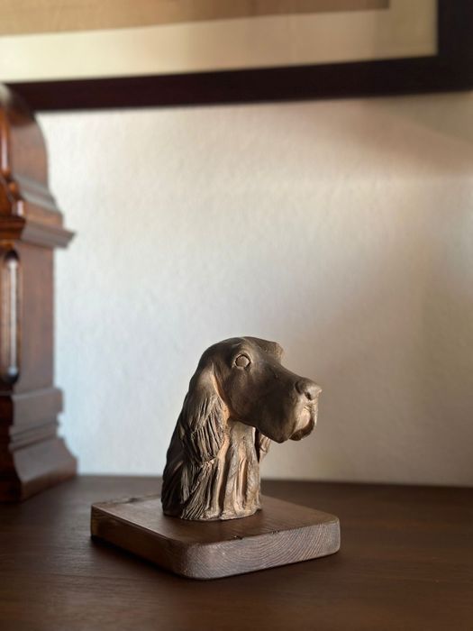 Cabeça de cão Setter inglês em terracota