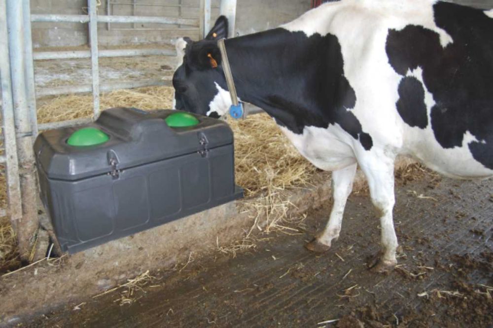 Poidło niezamarzające Kerbl – mrozoodporne aż do - 30°C ! 40 / 100 L