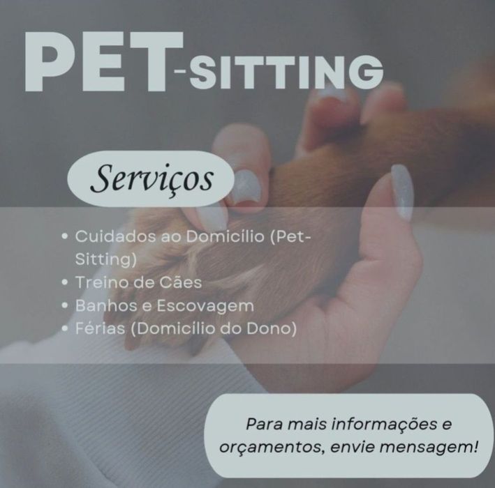 Treino de Cães/Pet-Sitting