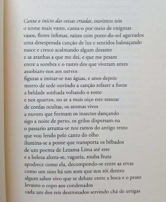 Diogo Vaz Pinto - Aurora para os cegos da noite