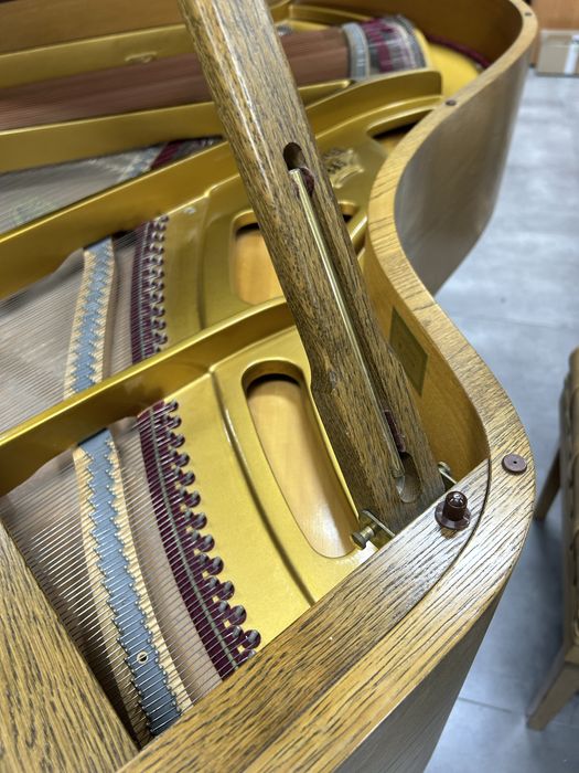 Fortepian Schimmel 174cm dąb jedyny taki