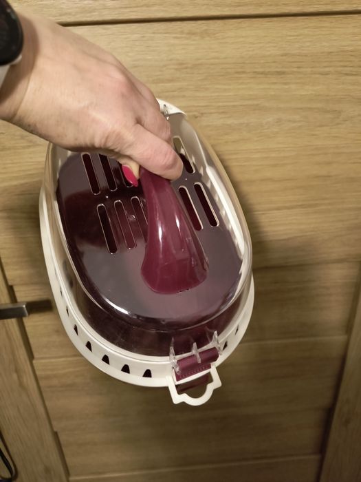 Transporter dla gryzonia