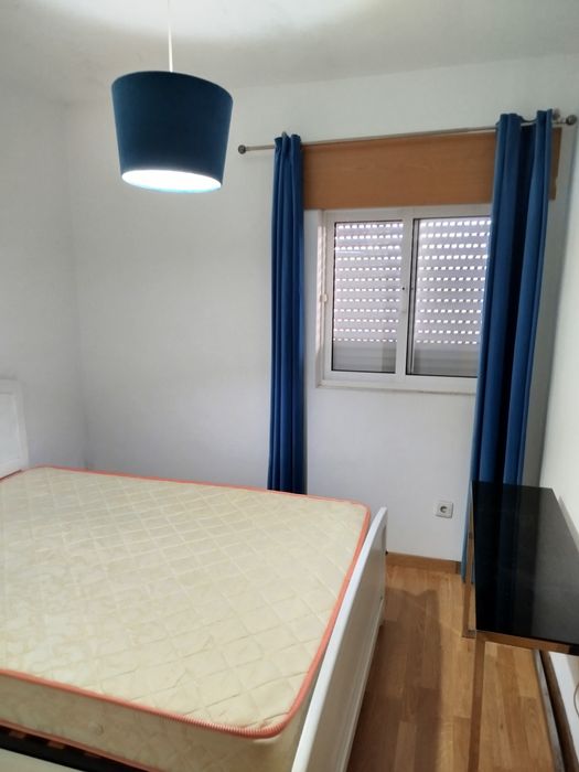 Casa de habitação para venda com terreno e árvores de fruto e anexo
