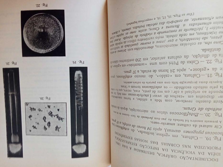 A Banana - Dr. Vicente Henriques de Gouveia