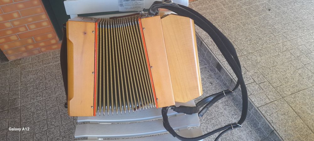 Organetto C.P. Ficosecco64174793732355123