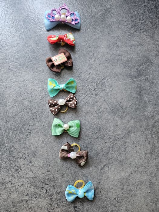 Sprzedam akcesoria dla pieska