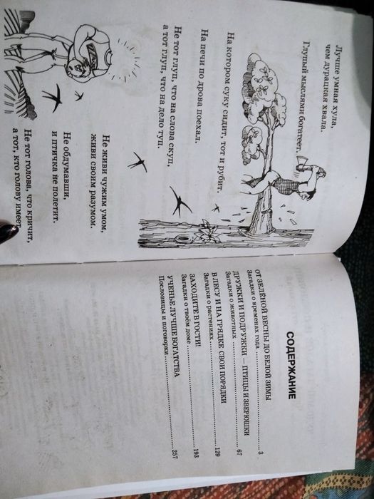 Новая книга, загадки и пословицы