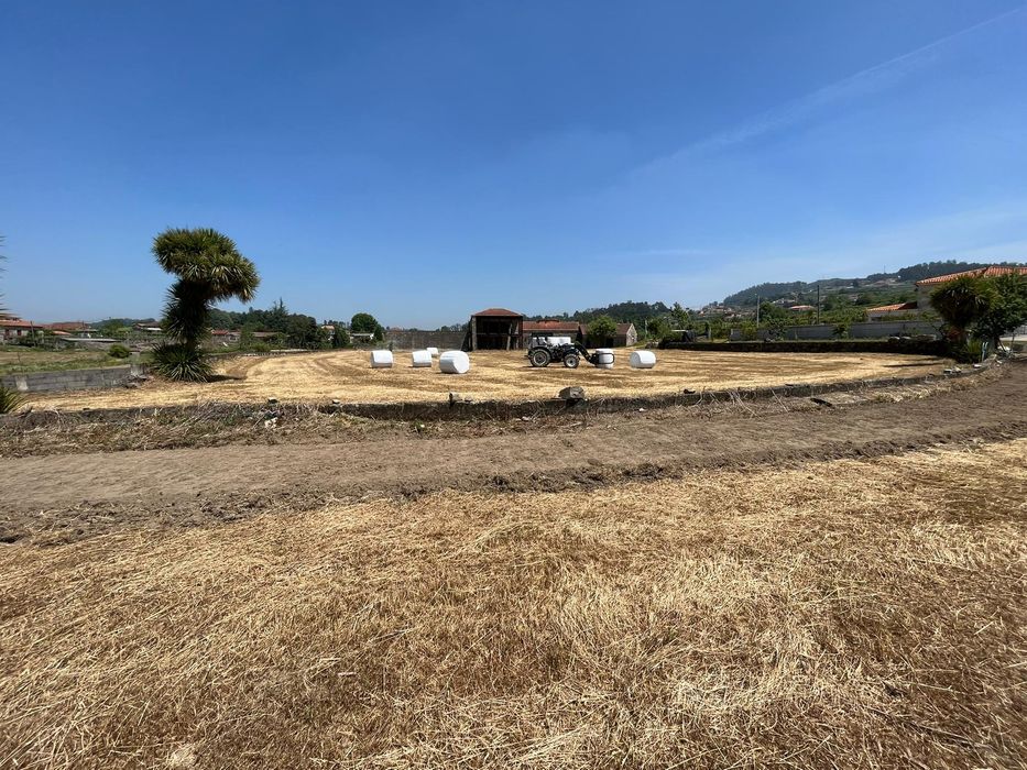 Vendo Rolos de Palha de Azevém e Aveia