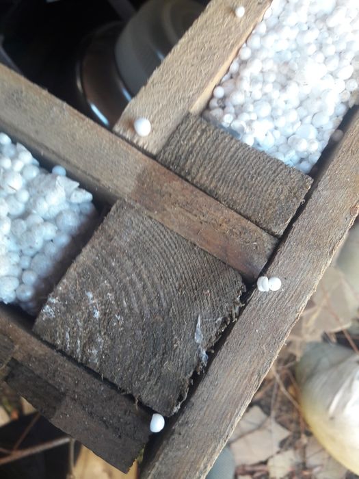 будка для собаки