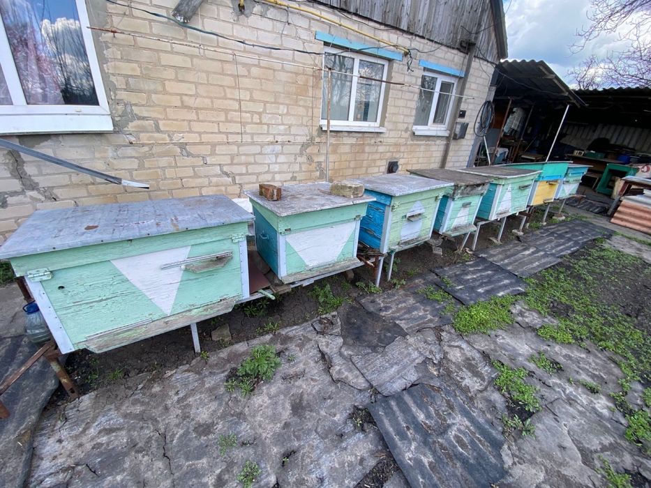 Продам вуліки 13