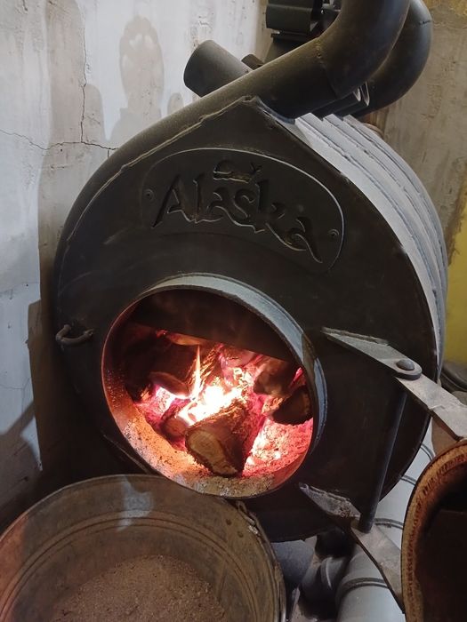 Продам булер'ян Alaska 00