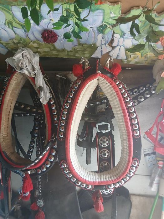 Sprzedam  nowe homonto