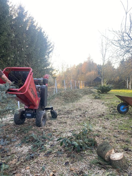 Rębak spalinowy do gałęzi wynajem