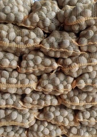 Sprzedam ziemniaki