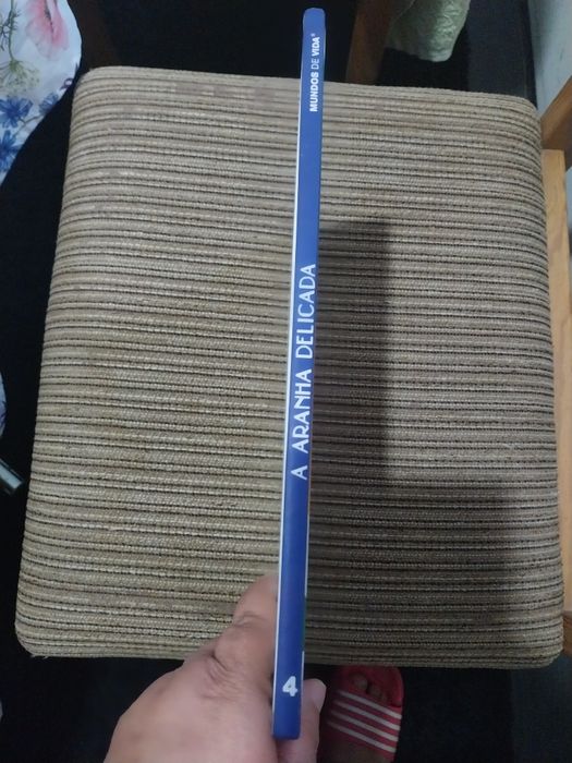 A aranha delicada. Portes incluídos.