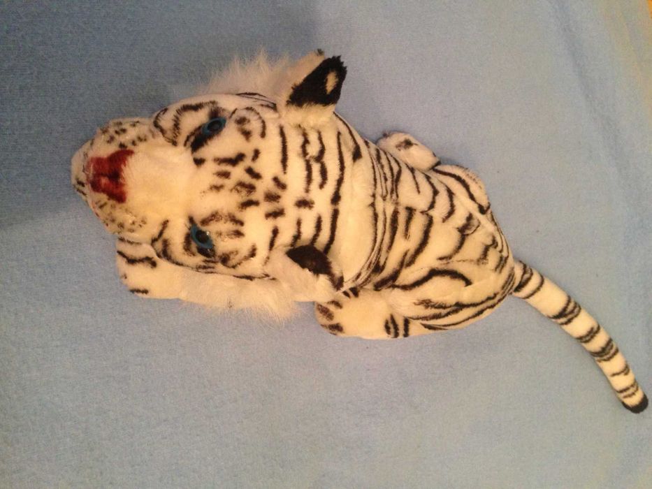 Тигр Альбинос наст. оскал USA фирм