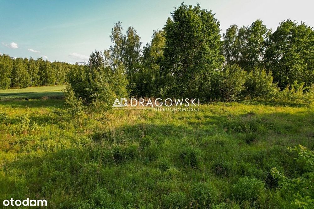 Działka ok 0,5 ha, spokój, natura, potencjał - Widok 2