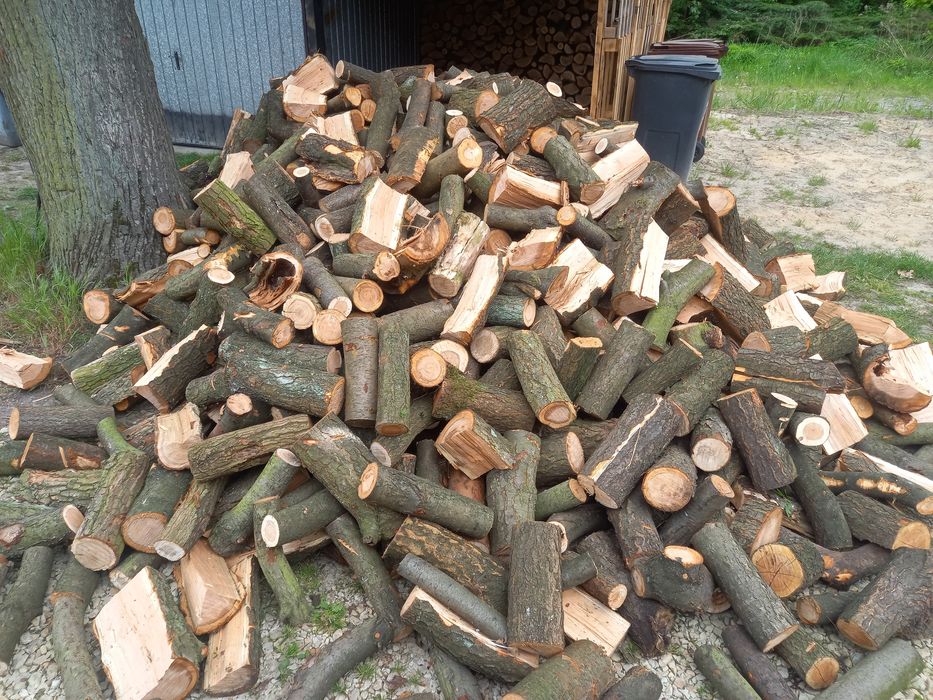 Drewno kominkowe i opałowe z transportem.