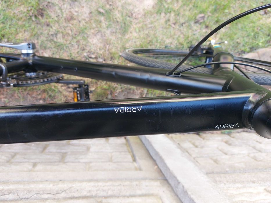 Rower Focus Arriba - rama 60cm