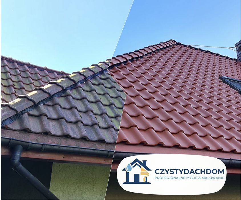 Mycie/Malowanie dachów, elewacji