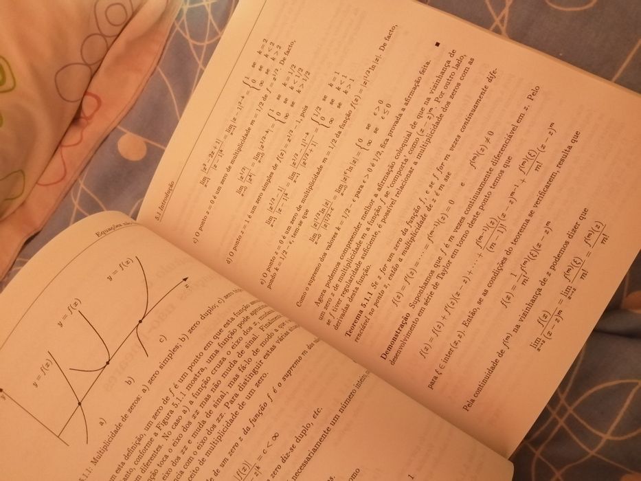 Heitor Pina Métodos matemáticos