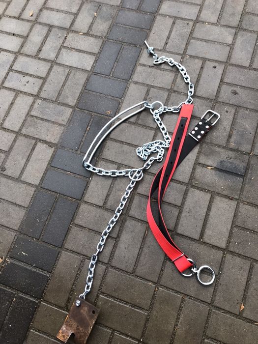 Stanowisko dla krowy byka jałowizny przegroda wygroda bramka drabina