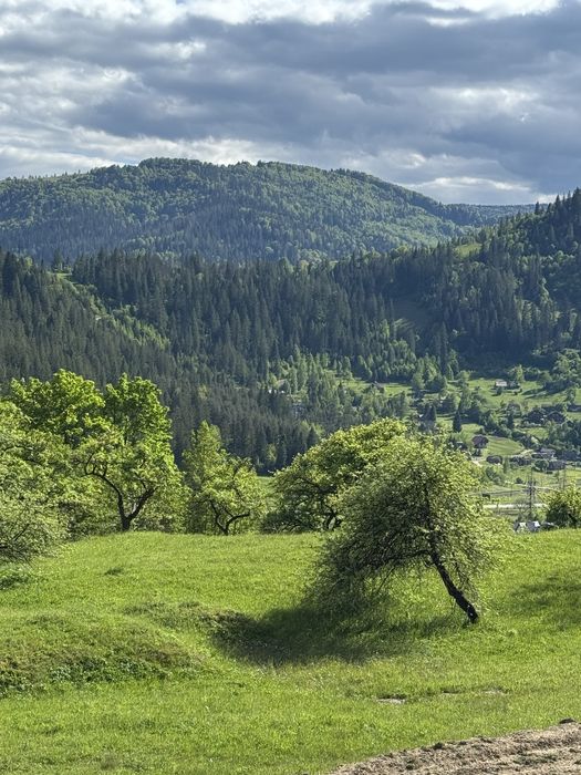 Земля в Карпатах, ділянка Микуличи, Яремче , Буковель,Власник, топова