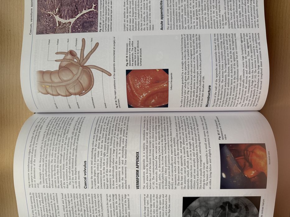Livro GRAY’S Anatomy