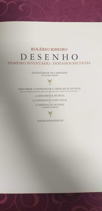 Rogério Ribeiro: desenho, primeiro inventário e desenhos recentes