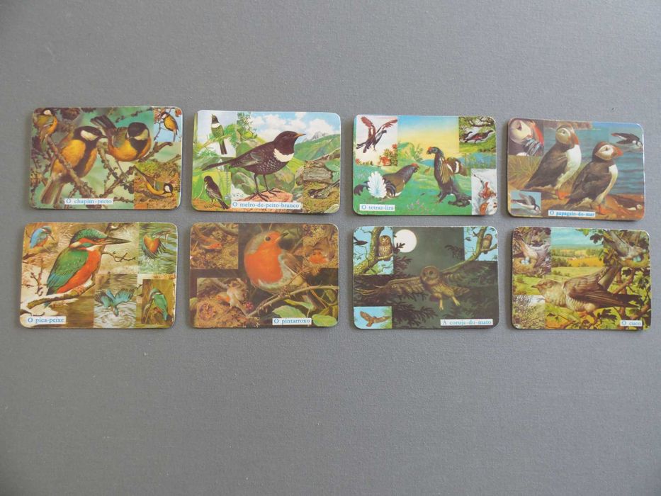 Calendários Aves