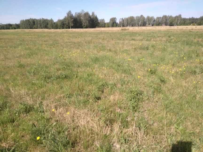 Działki budowlane 1023 m² – Anielinek, gm. Jakubów – blisko A2 - Widok 3
