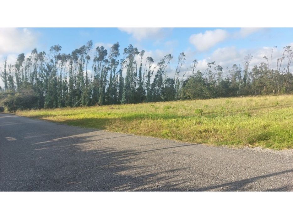 Terreno com 3 frentes de estrada em Monte Real