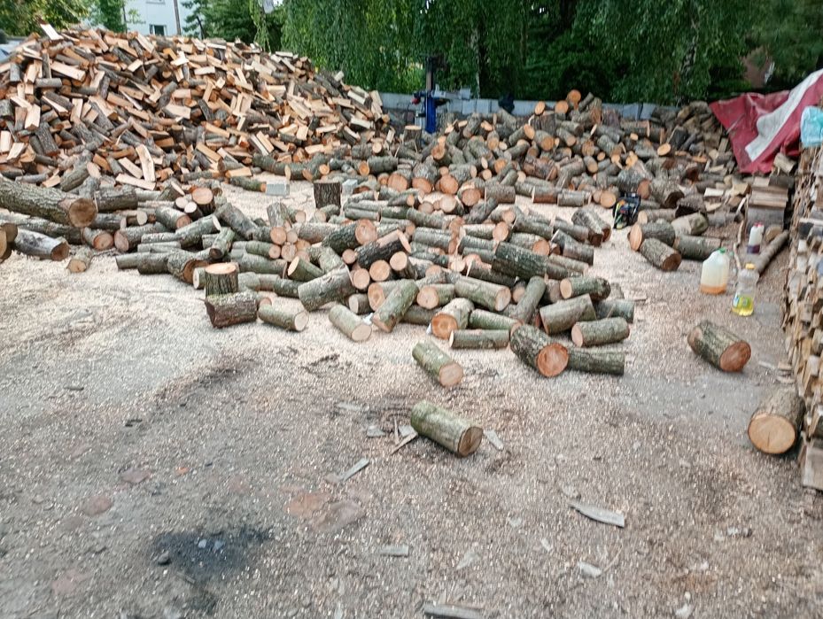 Klon drewno opałowe porąbane