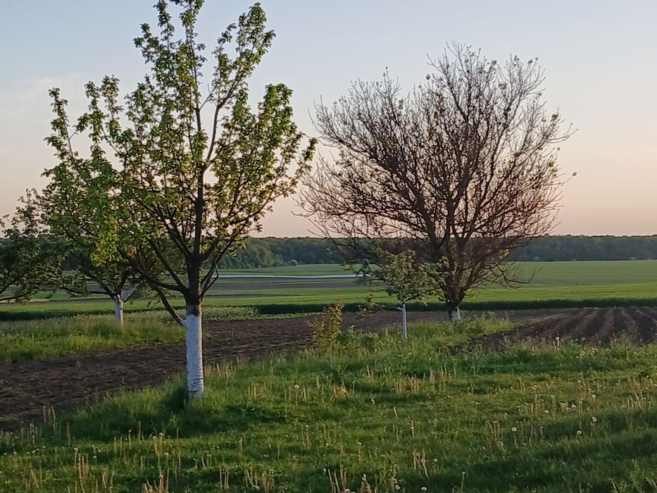 Продаж або обмін будинку